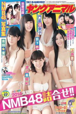 新乌托邦1-12集免费看